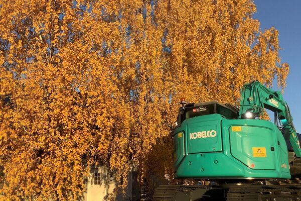 Kobelco SK55SRX-6 - til Per Thorleif bilde