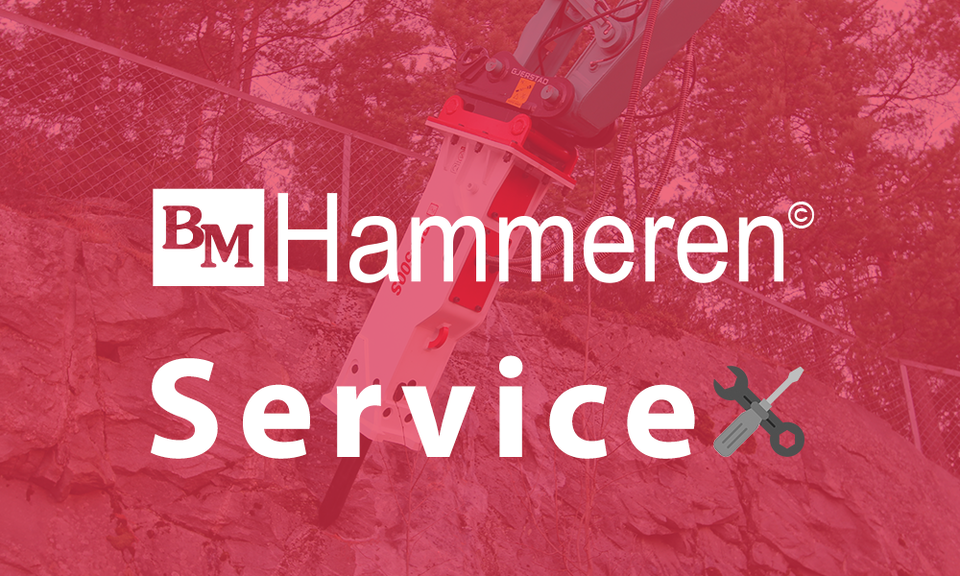 BM_Hammer_service.png